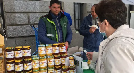 Бедствено положение с меда