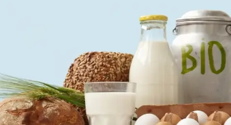 Биопроизводители получават плащания, без да имат реализирана продукция Биопроизводители получават плащания, без да имат реализирана продукция