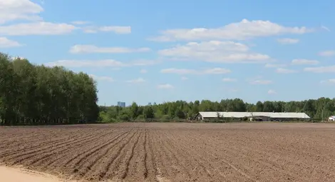 Фермери наеха още 410 декара държавни ниви