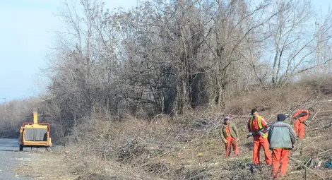 Фирма &bdquo;Мели&ldquo; чисти крайпътни храсти срещу дървесината