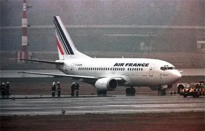 Бомбената заплаха срещу френския самолет - фалшива