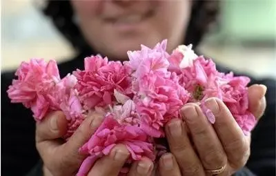 Цената на килограм българско розово масло мина 9000 евро