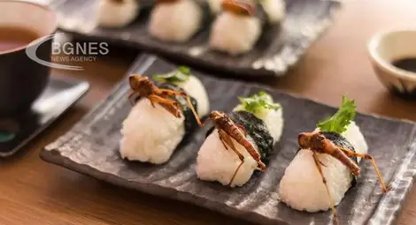 Бургери с бръмбари и бисквити с щурци: пазарът на ядливи насекоми процъфтява