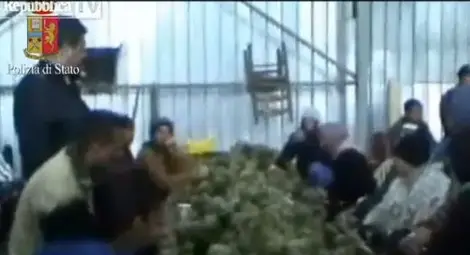 Вижте как се трудят българските роби в Италия! (ВИДЕО)