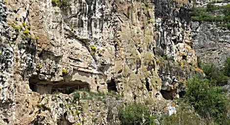 Големият нисовски манастир