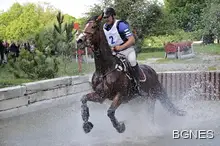 Българин триумфира със Световната купа по конен спорт в Божурище