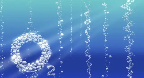 Недостигът на кислород отложил развитието на сложен живот