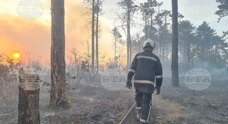 Снимка: БТА Снимка: БТА
