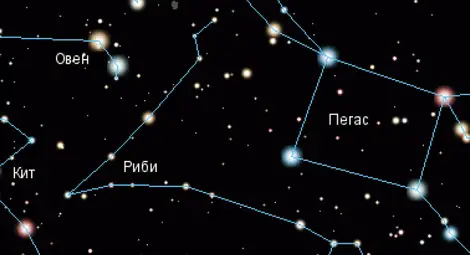 Коя е твоята истинска зодия според най-точния хороскоп в света