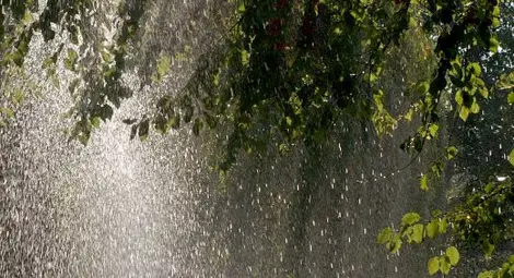 Синоптици посочиха кога и къде ще спрат първо дъждовете Синоптици посочиха кога и къде ще спрат първо дъждовете