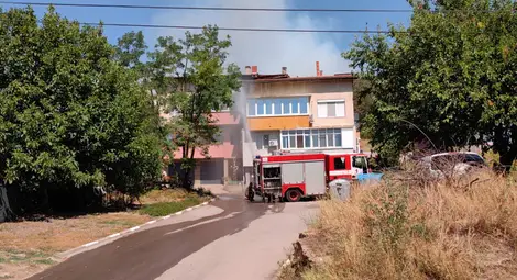 Над 50 декара борова гора и още толкова царевични ниви горят край Николово