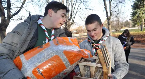 Скаути спасяват със синигери боледуващите кестени в Русе
