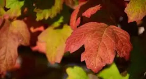 От 3 до 33 градуса през септември От 3 до 33 градуса през септември