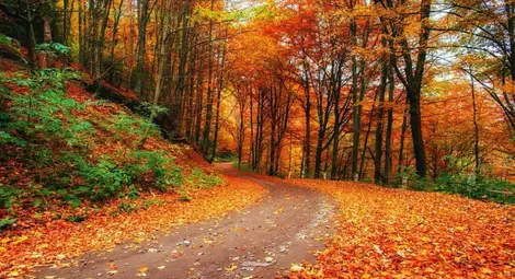 Ще се радваме на топла есен следващите дни, после - дъжд и студ