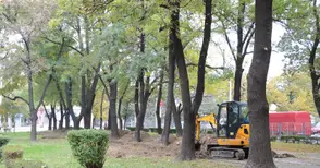 Багери и отсечени клони притесниха блок „Сердика“