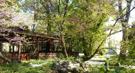 Управителят на култовата &bdquo;Баба Яга&ldquo; раздвоен между статива и скарата