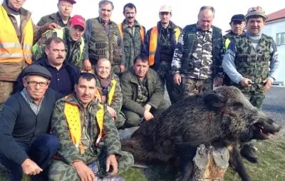 Тръгнал в атака огромен глиган пада едва след четвъртия изстрел в главата