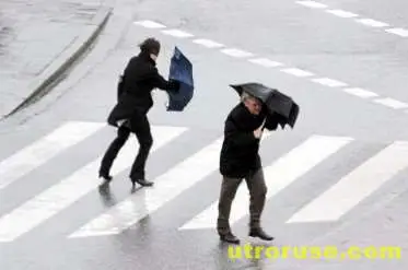 Жълт код за силен вятър в три области в Източна България