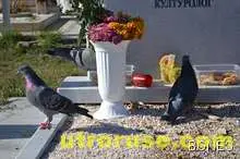 Законопроект връща мавзолеите в България