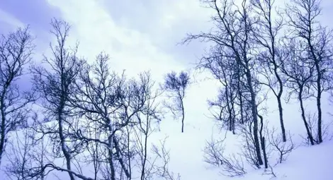 Жена е оцеляла след 30 часа при минусови температури в Рила