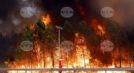 Снимка: БТА Снимка: БТА