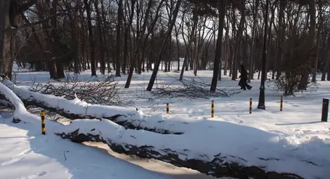 Жълт код в 9 области за поледица със сняг Жълт код в 9 области за поледица със сняг