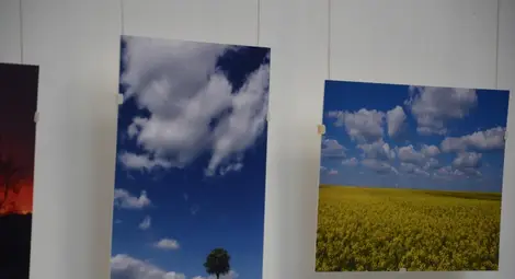 Журналистиката пресякла пътищата  на Драгомир от Исперих и Брайън от Юта