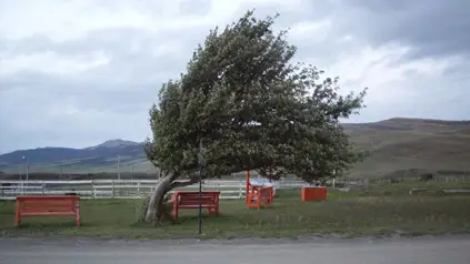 Жълт код в 4 области за силен вятър