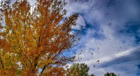 Бурен вятър в страната