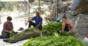 Фонд „Земеделие“ гласува разпределяне на над 137 милиона лева субсидии