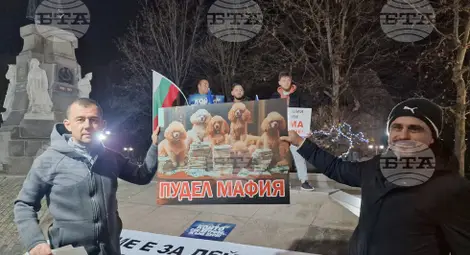 Снимка: БТА Снимка: БТА