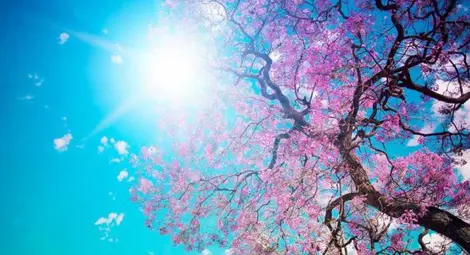 Предимно слънчево, температурите ще се повишат