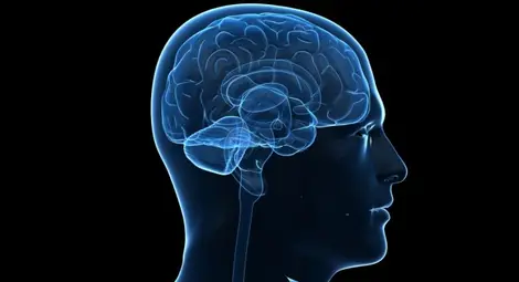 Скоро ще имплантираме спомените си в чужди мозъци Скоро ще имплантираме спомените си в чужди мозъци