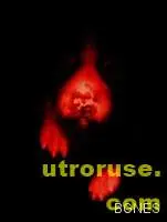 Генни мутации на вид протеин може да предизвикват алергиите 