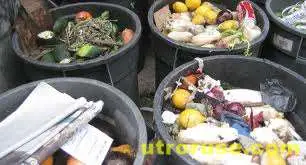 Ресторант предлага ястия от изхвърлена храна Ресторант предлага ястия от изхвърлена храна