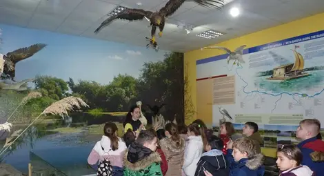 Над 200 деца три дни учиха „Русезнание“ в музея Над 200 деца три дни учиха „Русезнание“ в музея