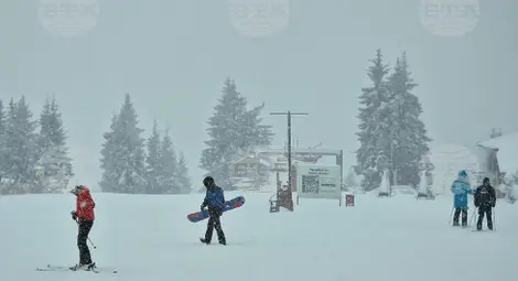 Снимка: БТА