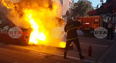 Снимка: БТА