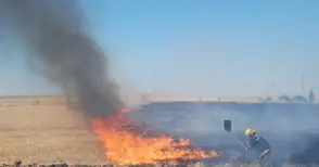 Пожарната: Не паркирайте автомобили до житни посеви