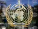 Световната здравна организация призова към безопасното и етично използване на изкуствения интелект в здравеопазването
