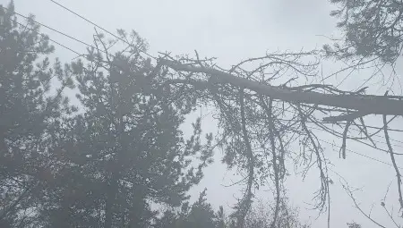 Екипи на ЕРП Север отстраниха тежка авария в трудно достъпен терен в района на силистренското село Сребърна Екипи на ЕРП Север отстраниха тежка авария в трудно достъпен терен в района на силистренското село Сребърна