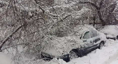 Десетки сигнали за паднали дървета и закъсали коли заляха пожарната