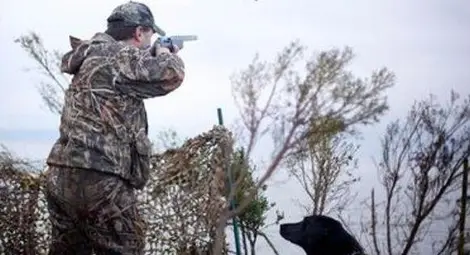 МЗХ: Забраната за лов и разселването на пернат дивеч е с превантивна цел