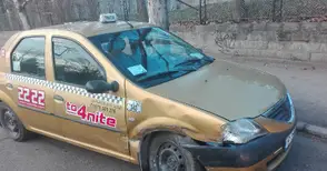 Пътничка в такси преживя катастрофа заради неподстригани храсти