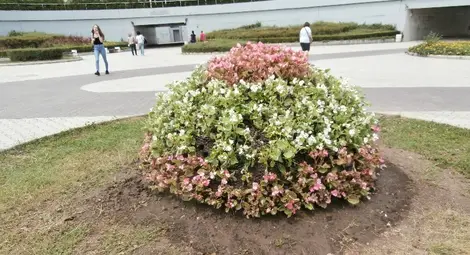 Освободиха двата цветни купола  на Кръговото от черните брезенти