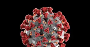 13 февруари - първи път ден без починали от коронавирус за 11 месеца