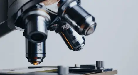 Лактобацилите са активни срещу COVID-19