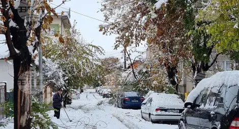 Снимка: БТА