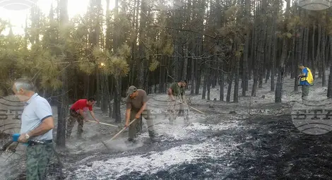 Снимка: БТА