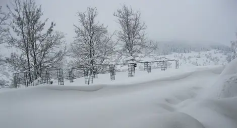 Над 120 снегорина разчистват снега по третокласните пътища в Кърджали и Смолян